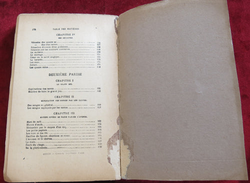 L'avenir révélé par les cartes - 1881 - Livre de divination vintage