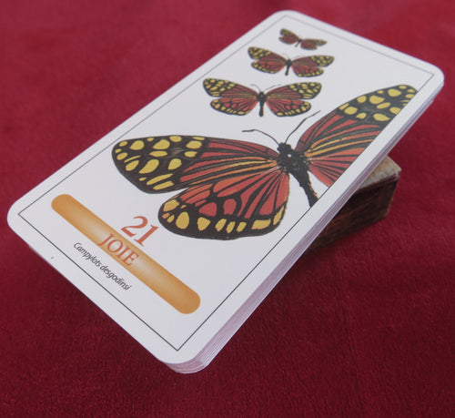 🦋 Tarot des Papillons – Butterfly Tarot Deck (Mini Edition) - Papillon pour la Divination