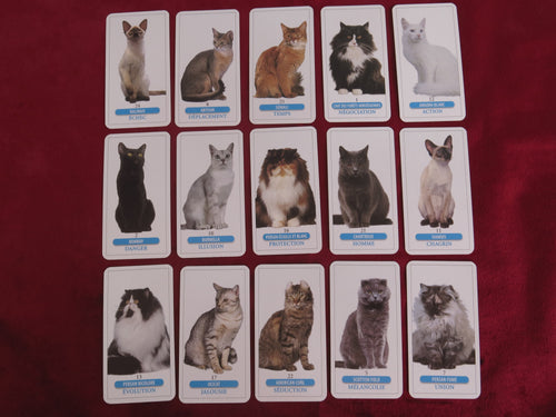 Vintage Tarot des Chats – Marc Angel – Femme Actuelle Edition (France)