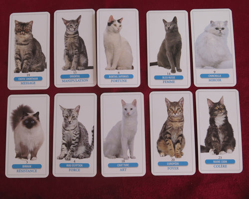 Vintage Tarot des Chats – Marc Angel – Femme Actuelle Edition (France)