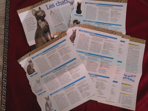 Vintage Tarot des Chats – Marc Angel – Femme Actuelle Edition (France)
