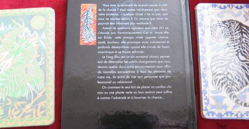 Feng Shui – Book & Card Pack (French Edition, 2000)