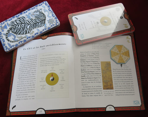 Feng Shui – Book & Card Pack (French Edition, 2000)