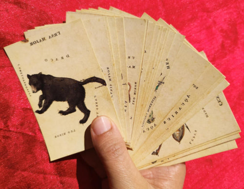 Cartes anciennes des constellations du zodiaque – Astrophilogeon, vers 1828