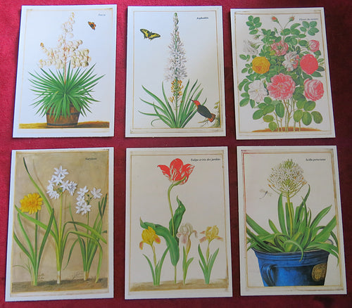 Old memory game "The Nassau Florilegium" 1994 - English & French instructions