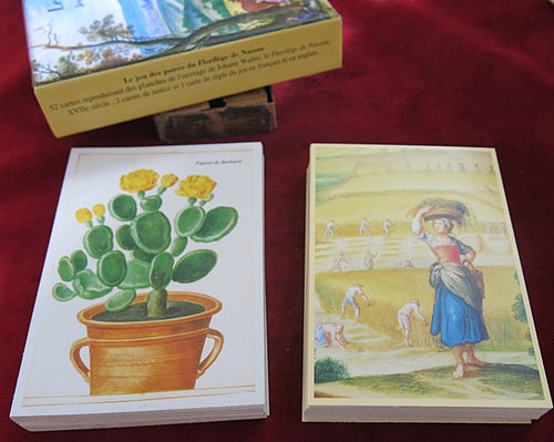 Old memory game "The Nassau Florilegium" 1994 - English & French instructions