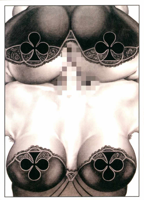 Cartes à jouer EROST – Édition collector limitée ultra rare – Jeu vintage S&M Bondage