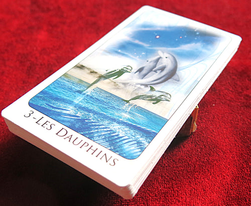 L'Oracle de la Mer - Magazine Pocket Oracle Of the Sea - ÉPUISÉ