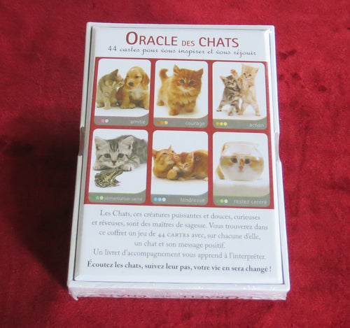 The Oracle of Cats - OUT OF PRINT - Jane Burton, Feline Cards