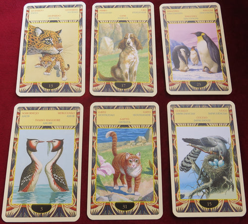 Animals Oracle - Out of Print - Animals divination - Animal Totems