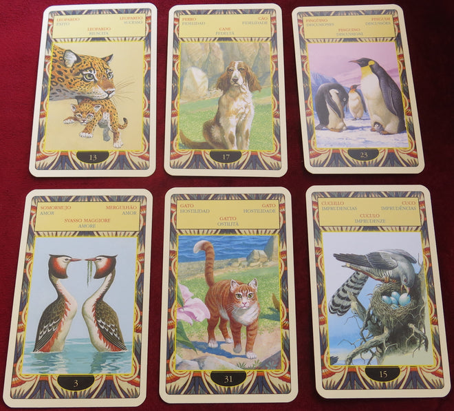 Animals Oracle - Animals divination - Animals Totems - Out of Print