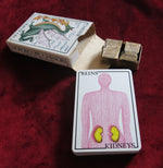 Lunar Zodiac Oracle – Silvia Maddonni / 1988 - Chinese Horoscope - Chinese Divination