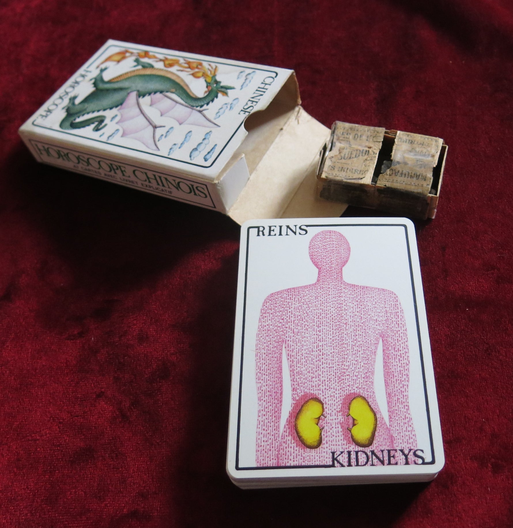 Lunar Zodiac Oracle – Silvia Maddonni / 1988 - Chinese Horoscope - Chinese Divination