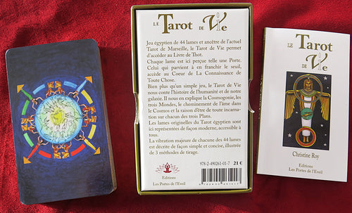 Le Tarot de la Vie - Jeu de Tarot Égyptien - Christine Roy - TRÈS RARE - Cartes Divinatoires des Visions Égyptiennes