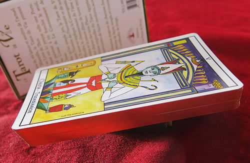 Le Tarot de la Vie - Jeu de Tarot Égyptien - Christine Roy - TRÈS RARE - Cartes Divinatoires des Visions Égyptiennes