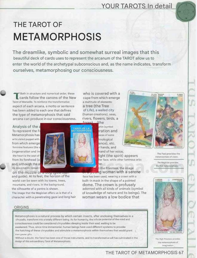 Tarot of Metamorphosis Guides ONLY -  File Download - ENGLISH, FRENCH & SPANISH - PRINTABLE