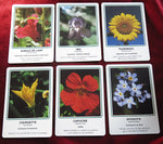 Cartes des Élixirs Floraux Deva 1995 – Vintage French Healing Oracle