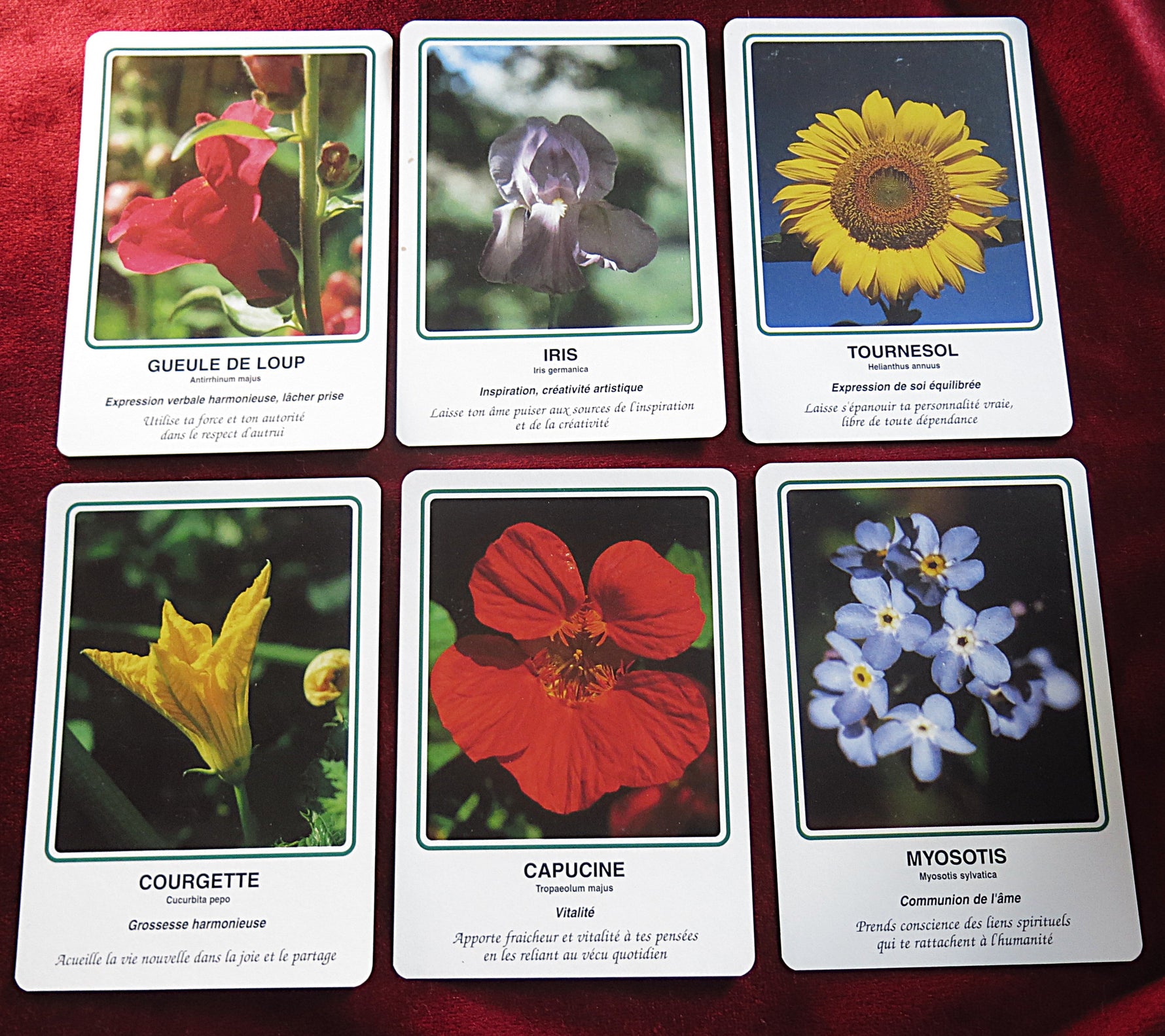 Cartes des Élixirs Floraux Deva 1995 – Vintage French Healing Oracle