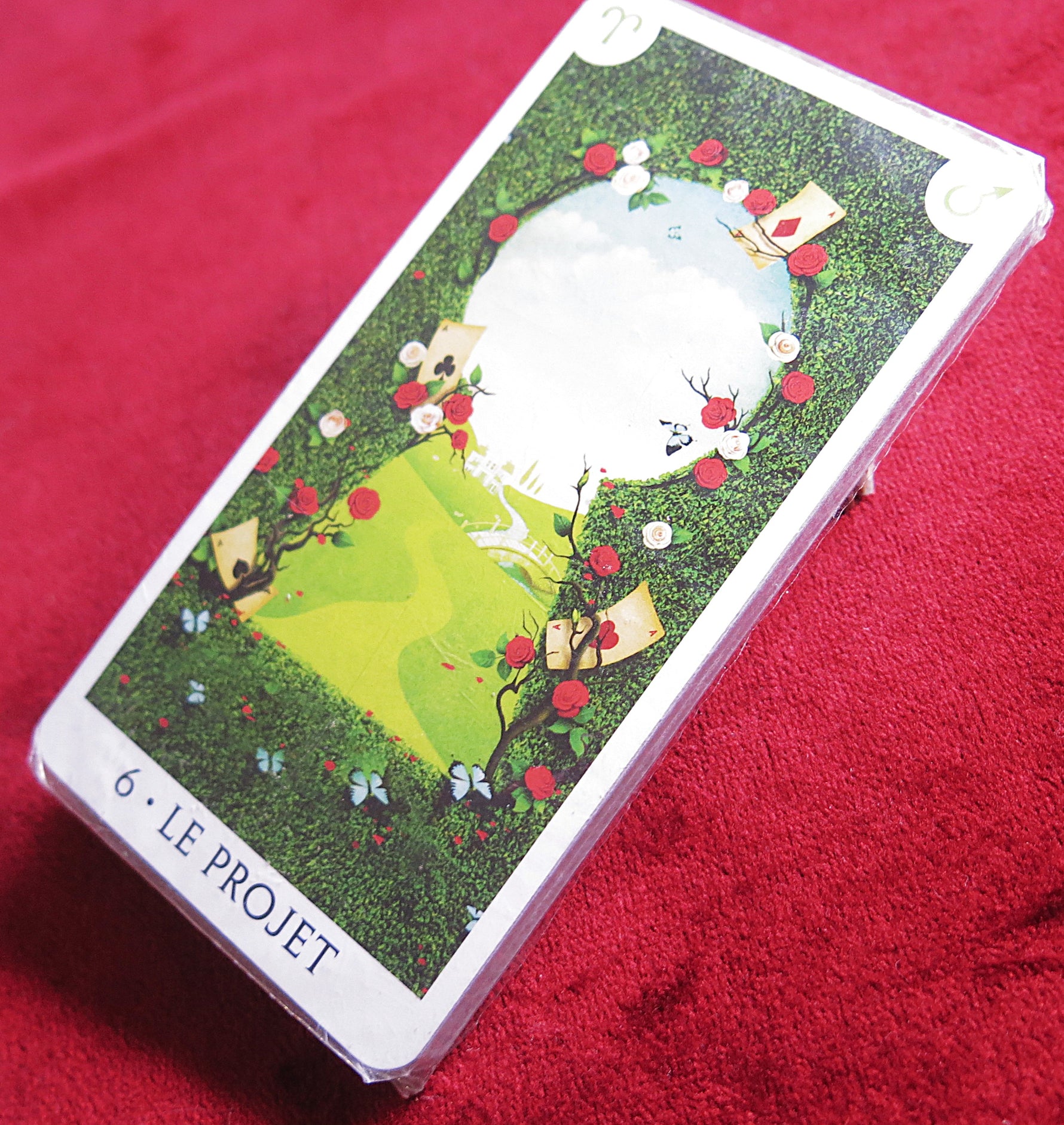 Tarot rare et scellé inspiré d'Alice au pays des merveilles (épuisé) – Jeu scellé de 22 cartes des arcanes majeurs
