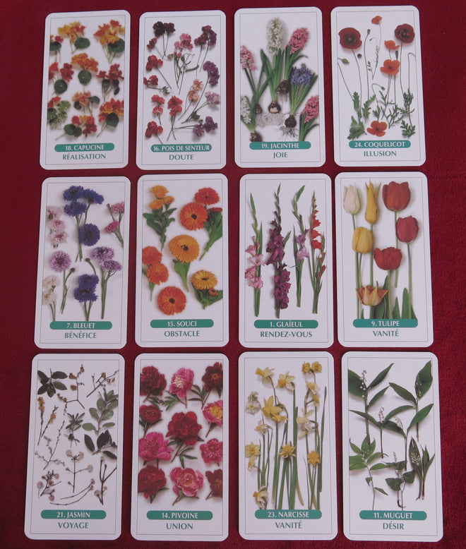 The Flower Tarot - Femme Actuelle Flowers Oracle Cards