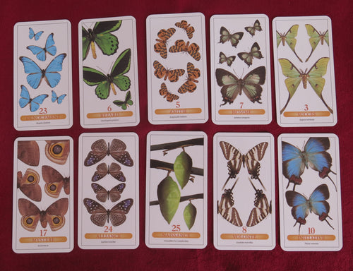 🦋 Tarot des Papillons – Butterfly Tarot Deck (Mini Edition) - Butterfly for Divination