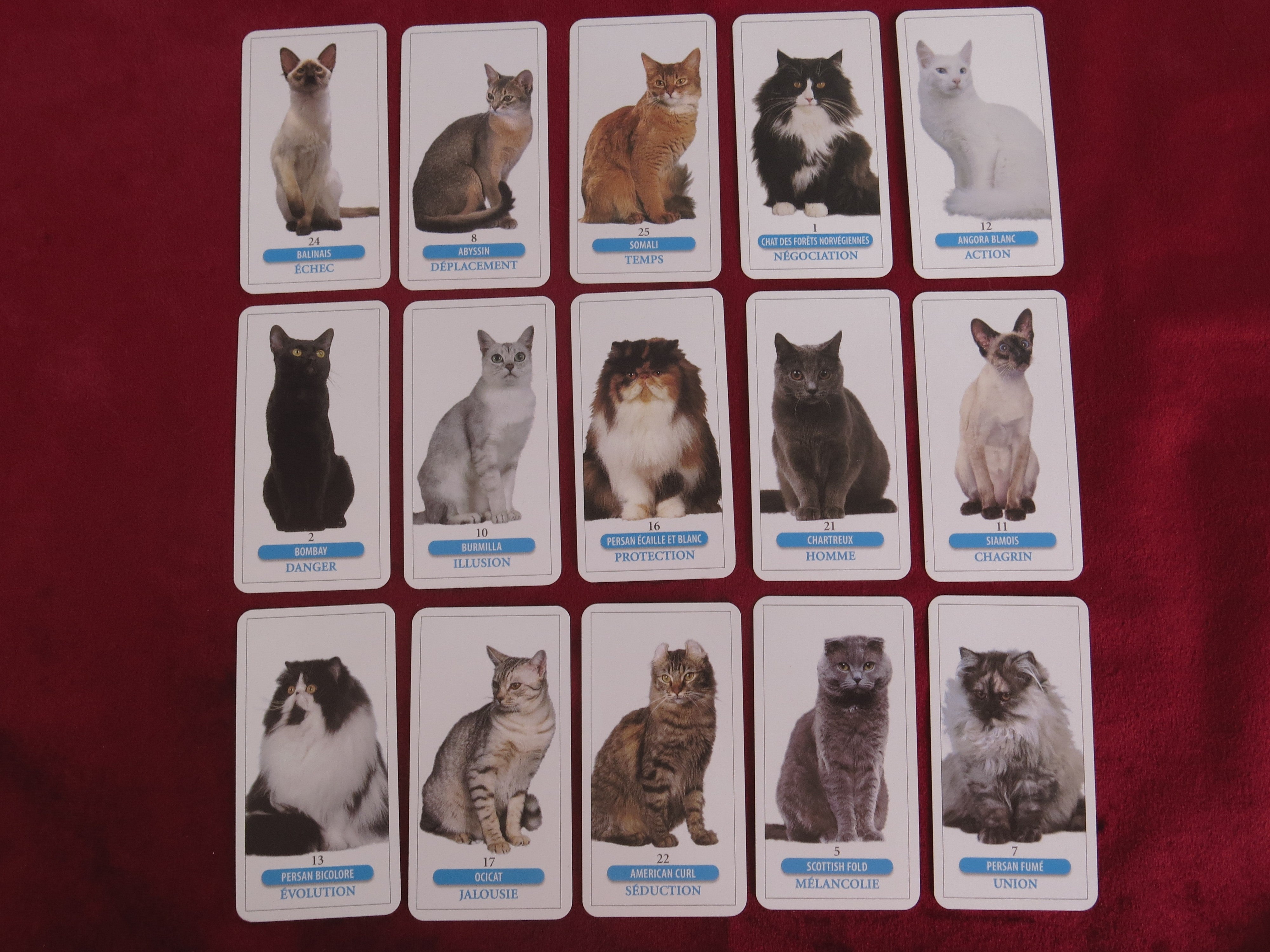 Texte alternatif par défaut