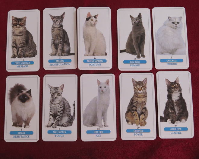 Vintage Tarot des Chats – Marc Angel – Femme Actuelle Edition (France)