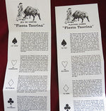 Spanish tradition Fiesta Taurina 1990s bullfighting playing cards - Fournier