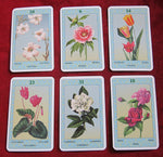 Flowers of Wellness + Guide Oracle Deck (2004) - I Fiori del Benessere