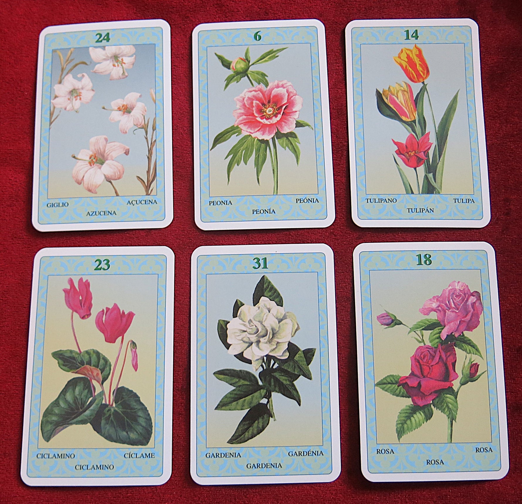 Flowers of Wellness + Guide Oracle Deck (2004) - I Fiori del Benessere