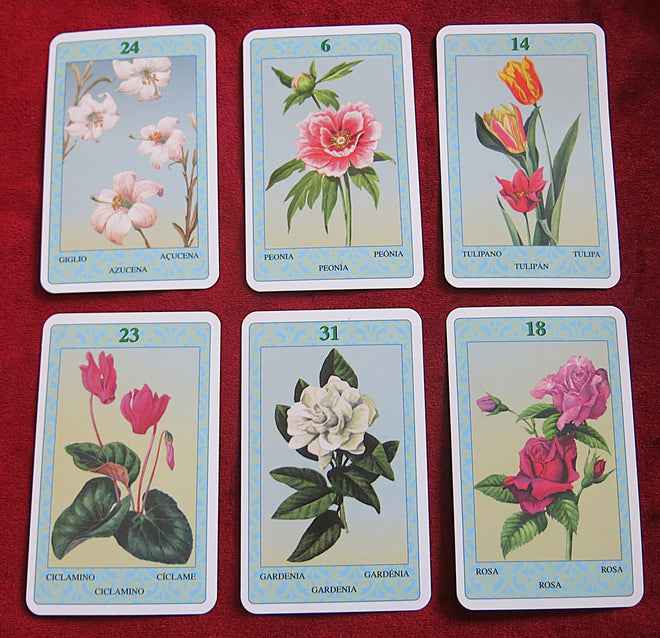 Oracle des Fleurs du Bien-être (2004) - Les Fleurs du Bien-être –