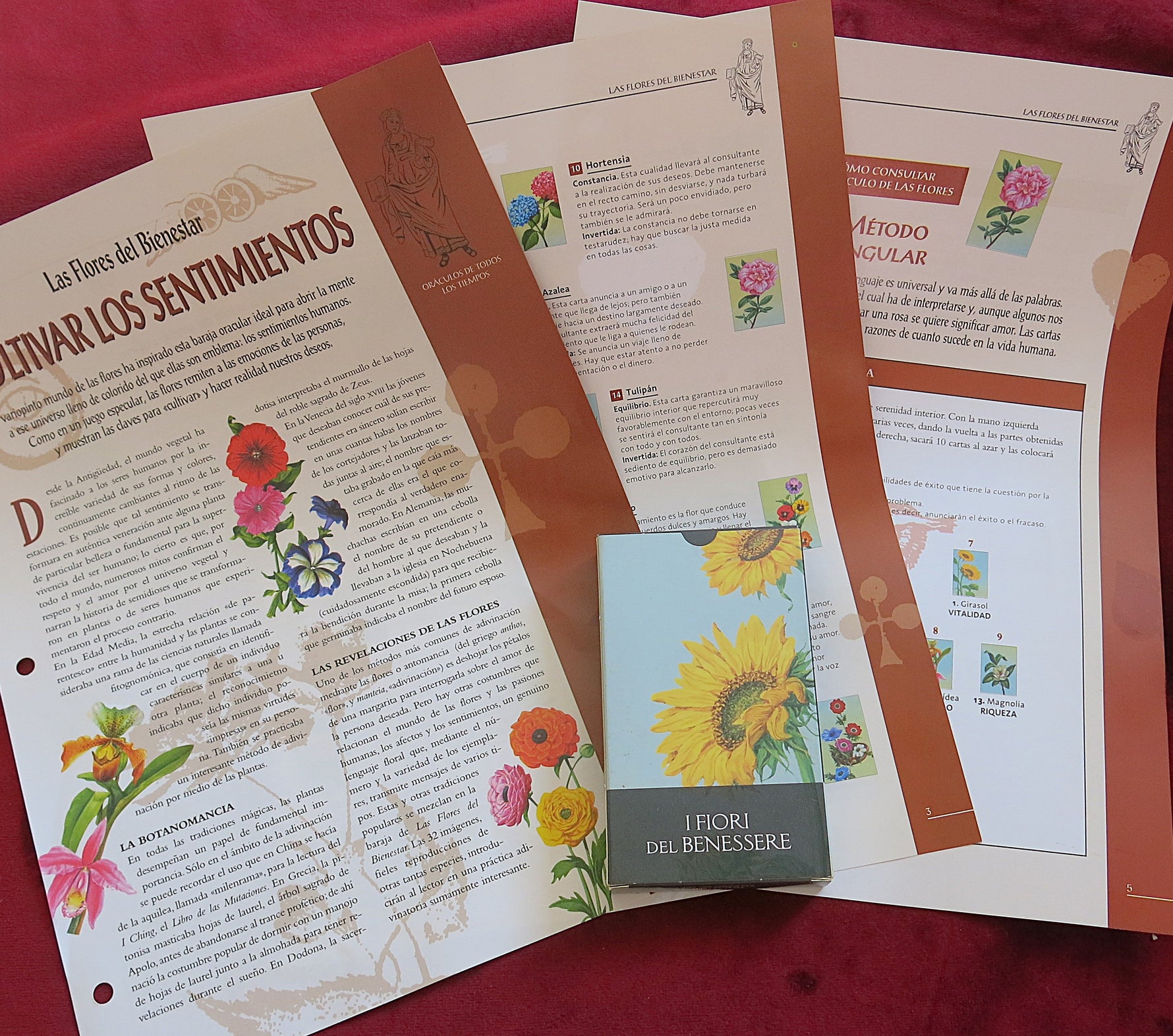 Flowers of Wellness + Guide Oracle Deck (2004) - I Fiori del Benessere