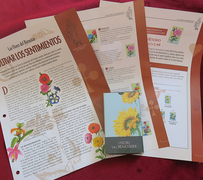 The Flowers of Wellness – Digital Explanation Pages (PDF)