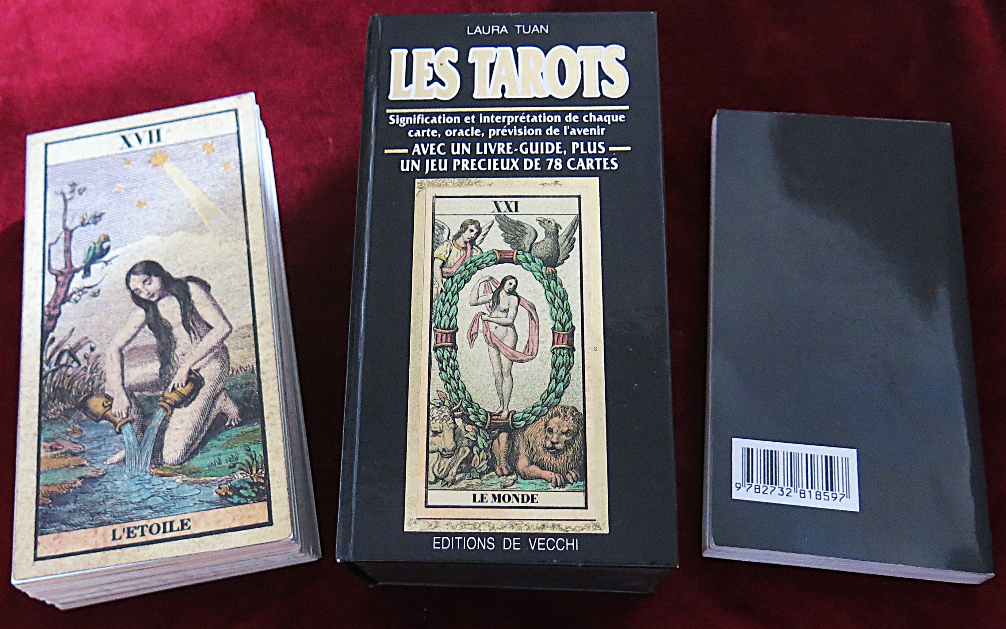 files/Laura_Tuan_les_Tarots_2.jpg