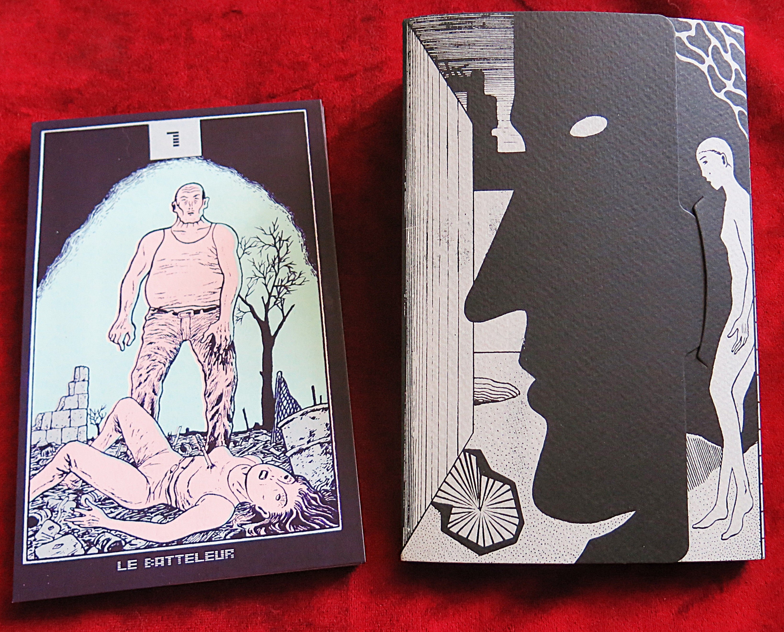 Rare Léo Quiévreux Tarot – Le Véritable Tarot de Marseille – Artist Edition – 400 Copies