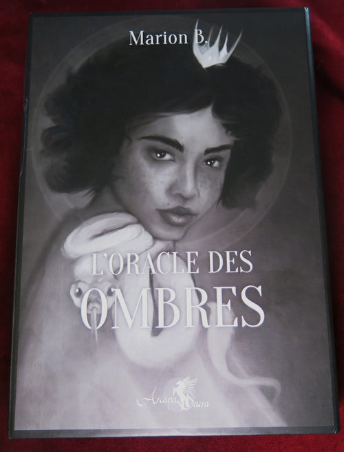 Jeu de tarot afro-américain - L'Oracle des Ombres - Le Travail de l'Ombre
