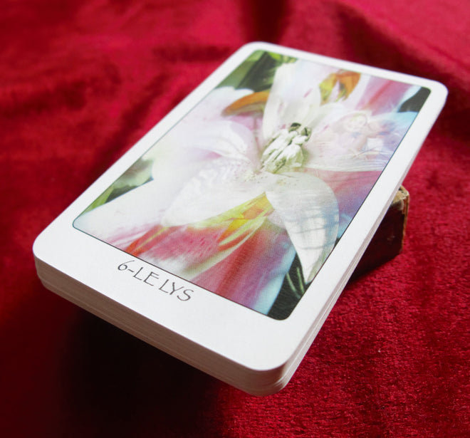 Tarot de poche Gaïa – 22 Majeurs – Rare édition française de « Quel Avenir » (2006)