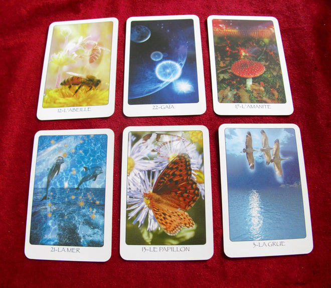 Tarot de poche Gaïa – 22 Majeurs – Rare édition française de « Quel Avenir » (2006)