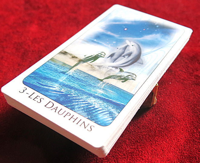The Sea Oracle - Pocket Oracle Of the Sea magazine - OUT OF PRINT