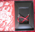 The Tarot of Vampyres – Ian Daniels – Llewellyn 2010 – Gothic Deck + Phantasmagoria Book