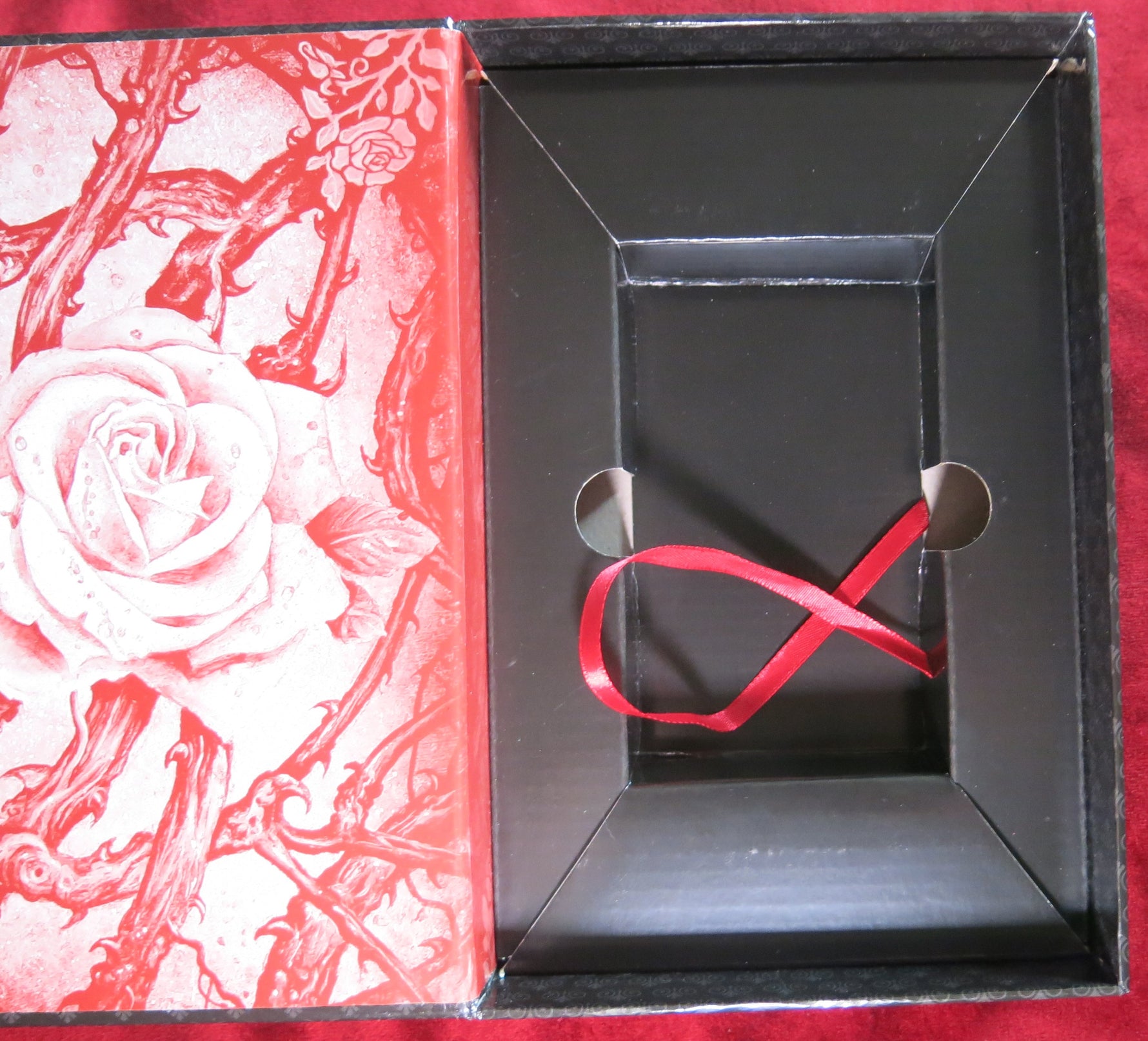 The Tarot of Vampyres – Ian Daniels – Llewellyn 2010 – Gothic Deck + Phantasmagoria Book