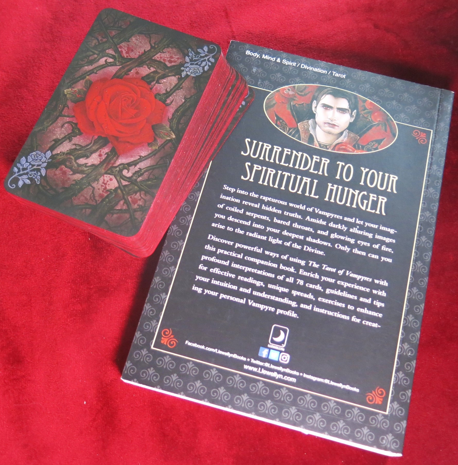 The Tarot of Vampyres – Ian Daniels – Llewellyn 2010 – Gothic Deck + Phantasmagoria Book