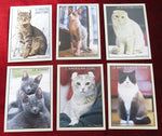 Vintage French Educational Cards – Cat Breeds Learning Game – 24 Cats