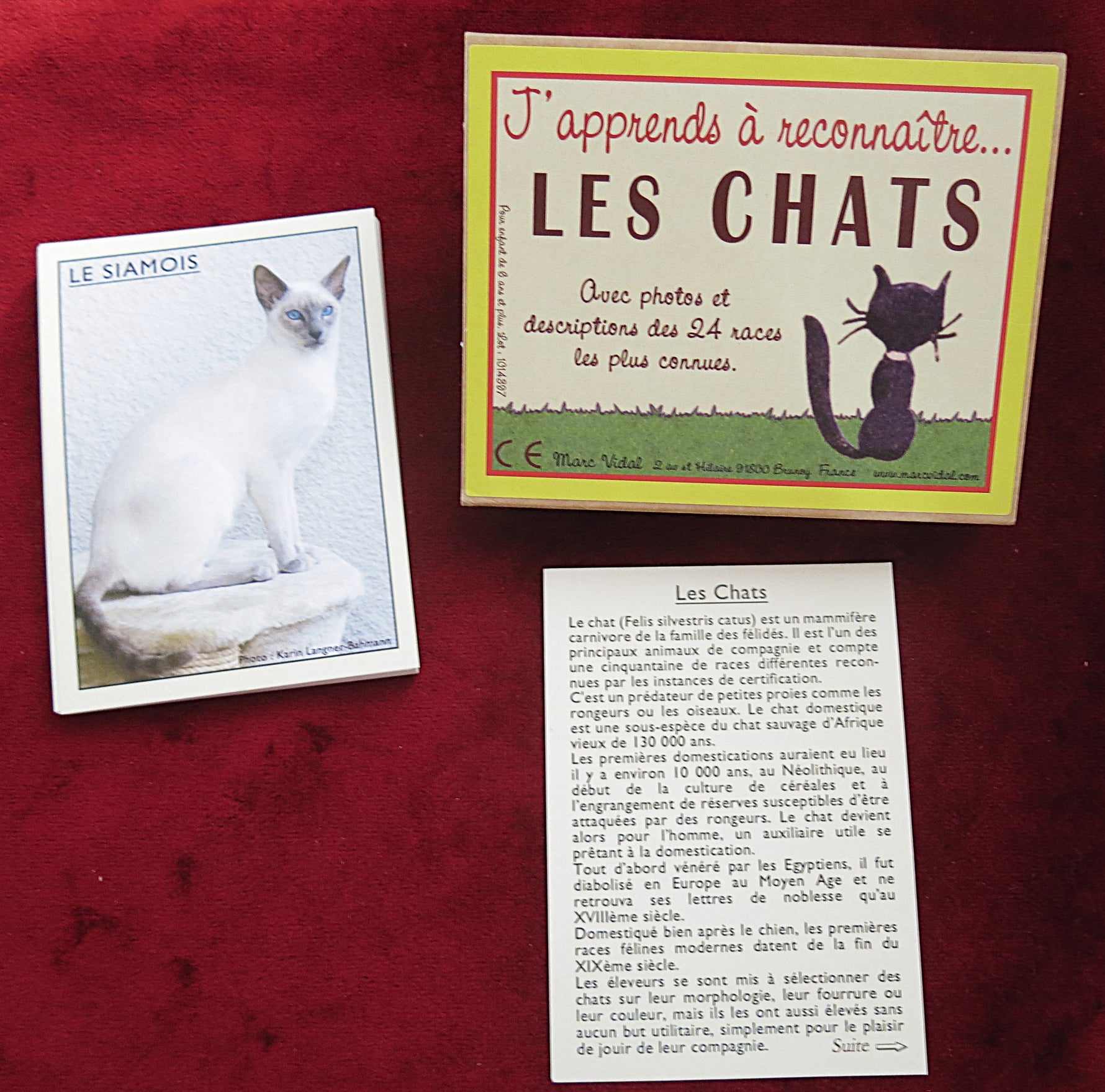 Vintage French Educational Cards – Cat Breeds Learning Game – 24 Cats