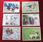 Vintage French Educational Cards – Dog Breeds Learning Game – 30 Dogs