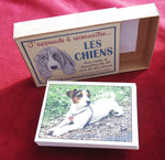 Vintage French Educational Cards – Dog Breeds Learning Game – 30 Dogs