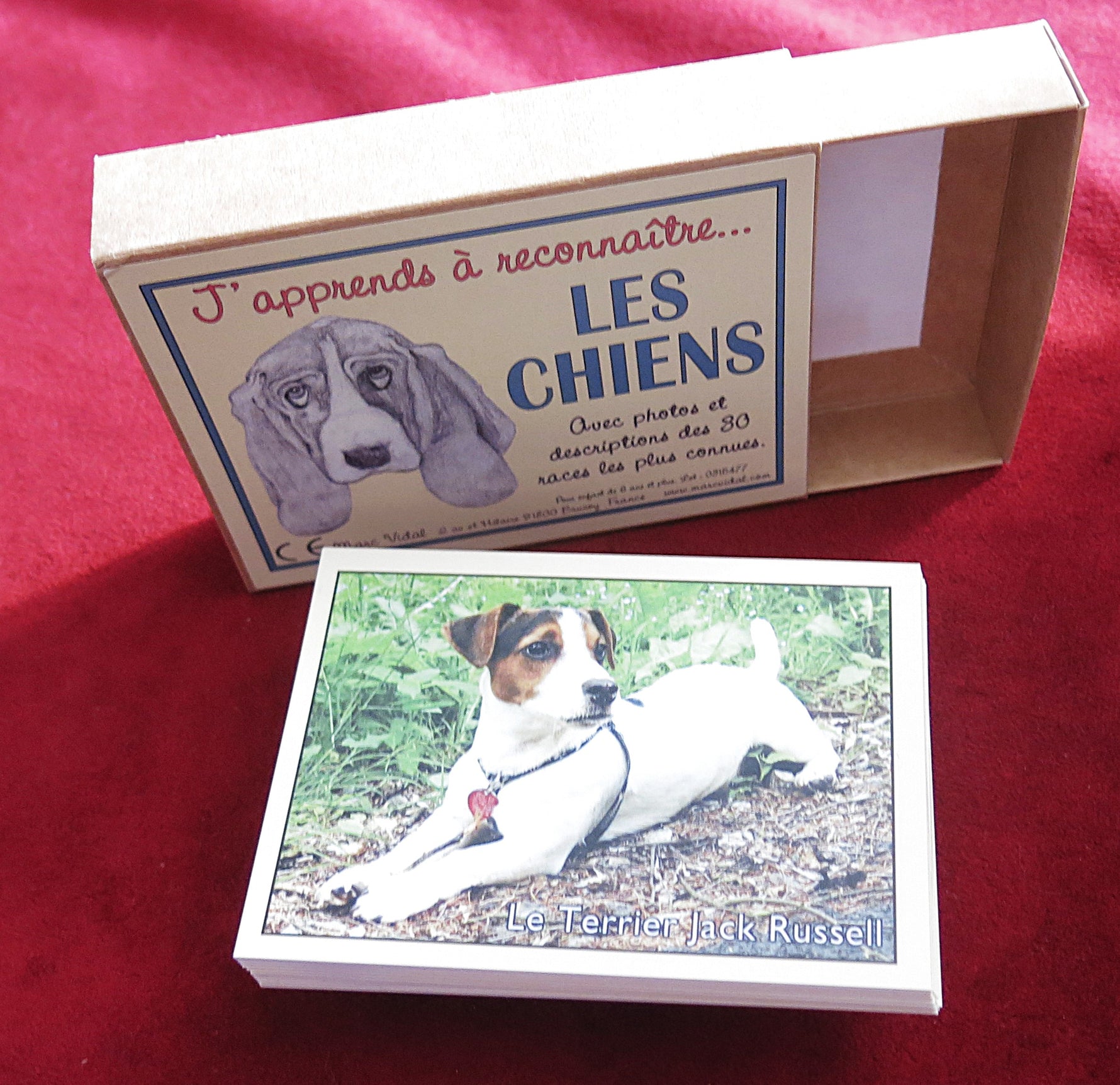 Vintage French Educational Cards – Dog Breeds Learning Game – 30 Dogs