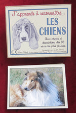 Vintage French Educational Cards – Dog Breeds Learning Game – 30 Dogs