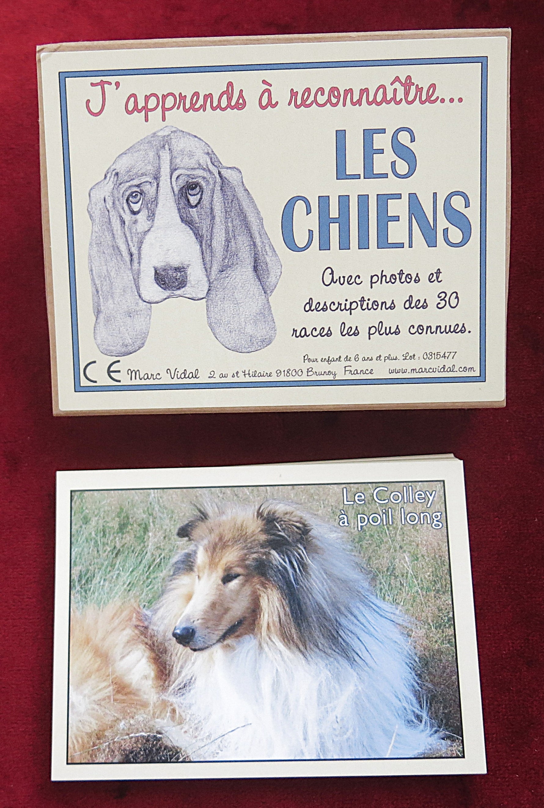 Vintage French Educational Cards – Dog Breeds Learning Game – 30 Dogs