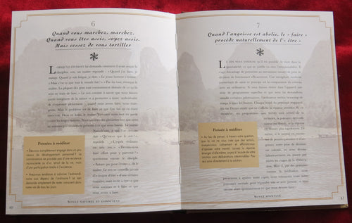 La sagesse du Zen – 30 cartes de koans et guide (2000) – Oracle Zen français